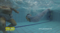 /album/bebes-al-agua-/captura-de-pantalla-2014-03-02-a-la-s-17-38-26-png1/